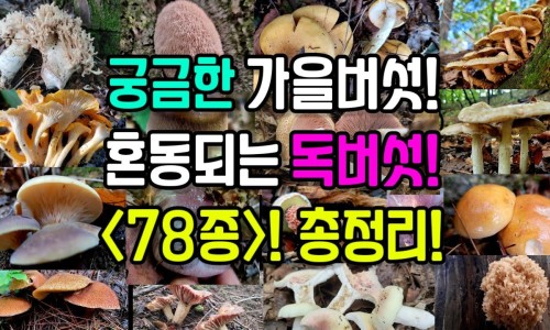 艾草泡脚肚子上也出汗吗-艾草泡脚肚子上也出汗-专业艾草泡脚出汗了是不是寒气出来了平台-艾草泡脚肚子上也出汗正常吗